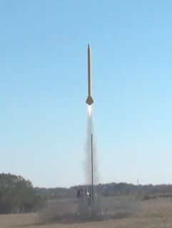 Big Bird - NFCC Sentinel Rocketeers - J Hybrid