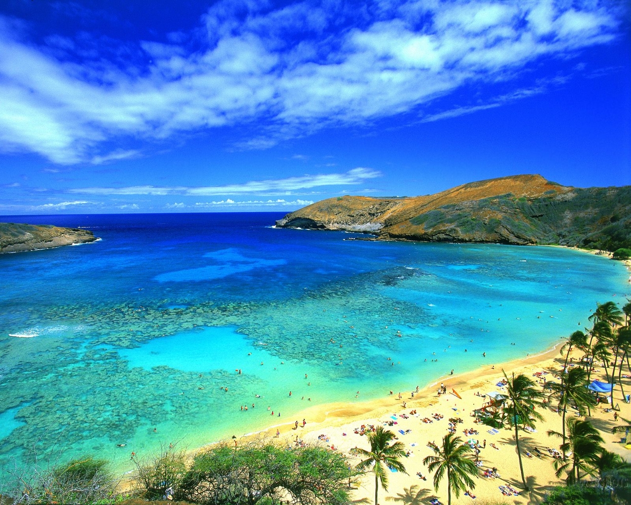 great-beach-hawaii-picture-jpg