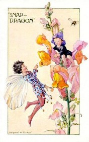 Fairy Art by Margaret Tarrant.